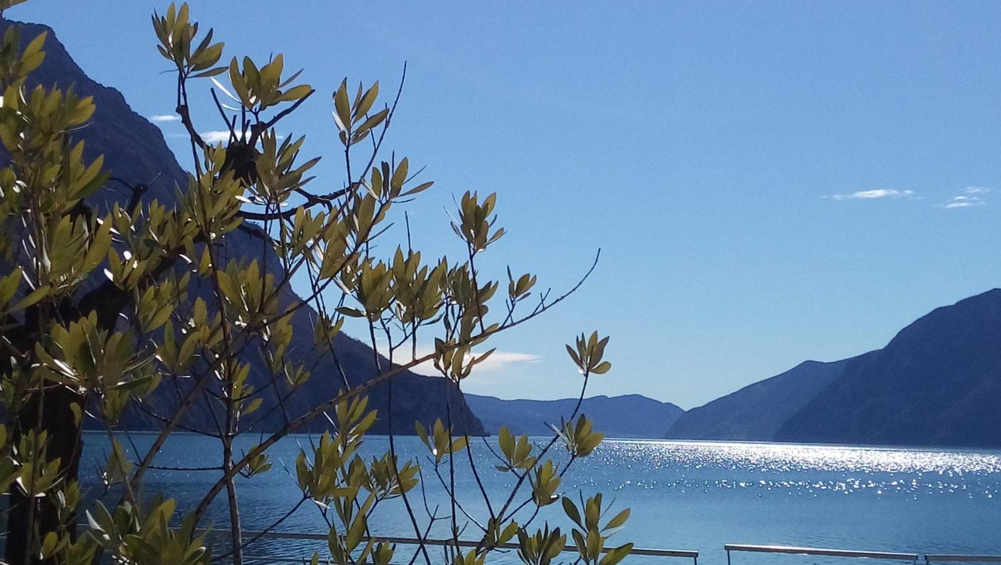 Ca Del Lac Castro  المظهر الخارجي الصورة